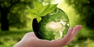 Article - The Green Move: Eco-Friendly Practices for a Sustainable Relocation