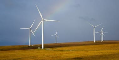 Article - The environmental impact of virtual offices: a green perspective